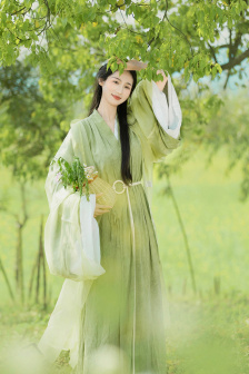 张杰谢娜离婚
